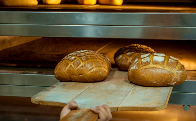 Toast production line